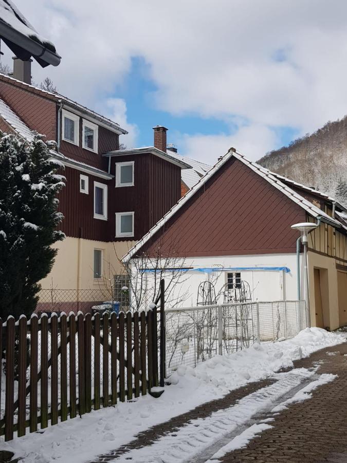 Ferienhaus Am Fluss Mit Traumhafter Dachterrasse ,Garten Und Grill Walkenried Exterior photo